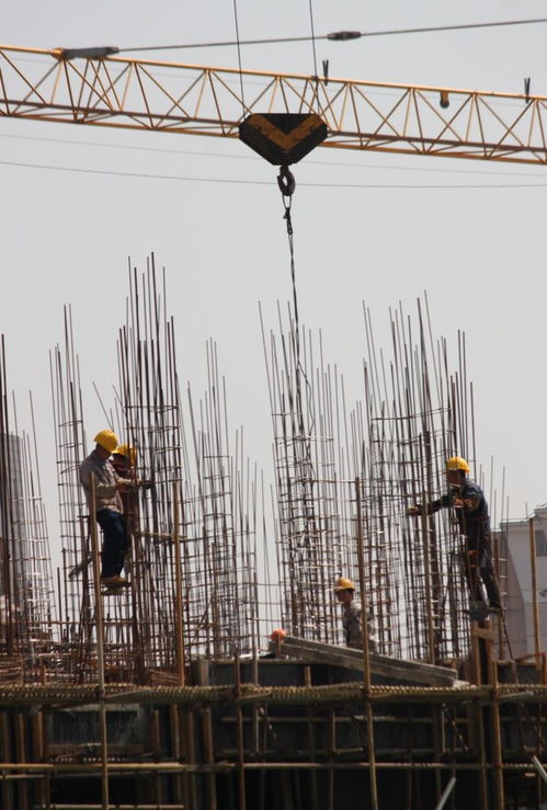 惠州市附着式升降脚手架子工证考试指南 报名、考试内容及查询方式